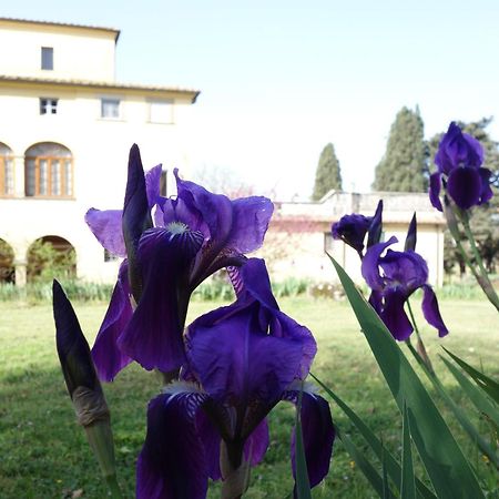 Bella Di Ceciliano Bed & Breakfast Arezzo Exterior foto