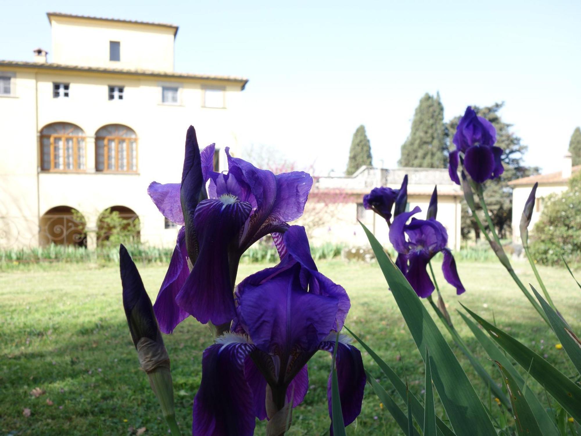 Bella Di Ceciliano Bed & Breakfast Arezzo Exterior foto