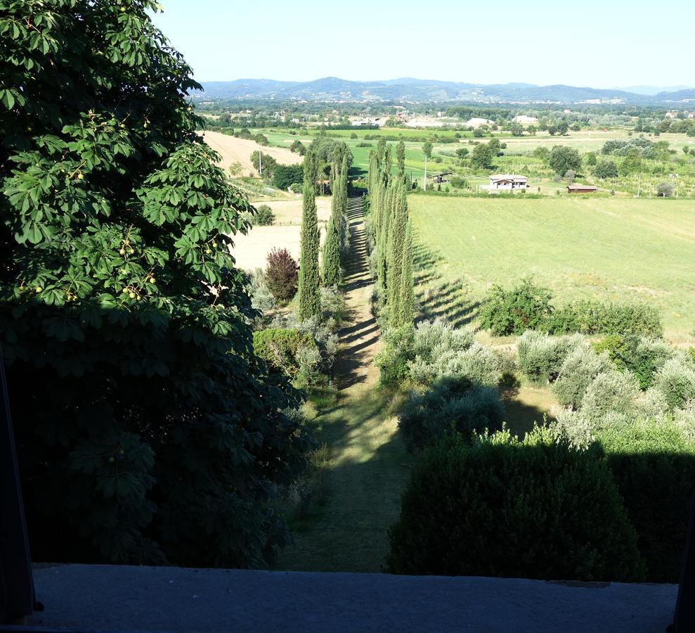 Bella Di Ceciliano Bed & Breakfast Arezzo Exterior foto